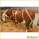 Agrimarkt - No. 200053799-AT