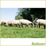Agrimarkt - No. 200065693-AT