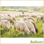 Agrimarkt - No. 200070956-AT
