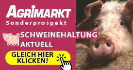 Agrimarkt Sonderprospekt - Schweinehaltung aktuell